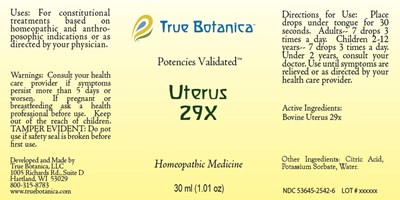 Uterus 29x (Uterus 29x Jpg)